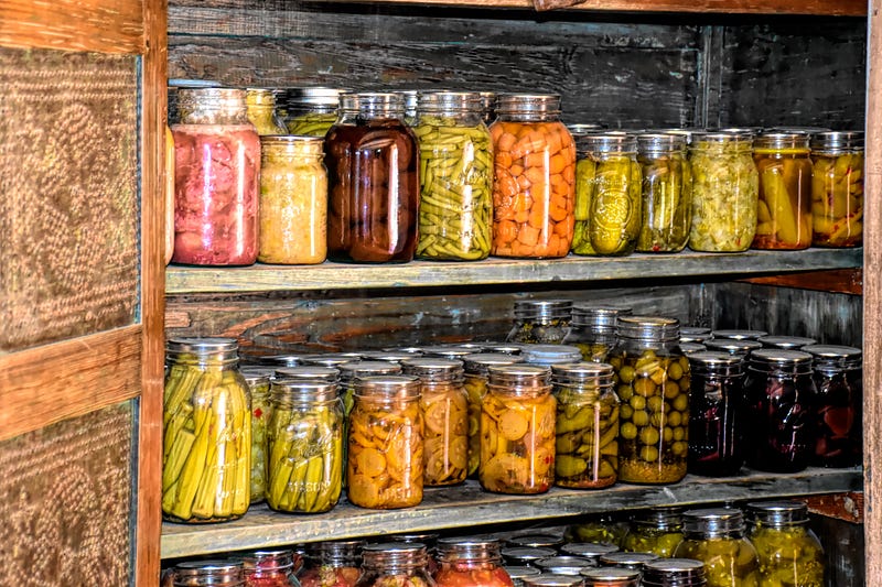 Variety of fermented foods