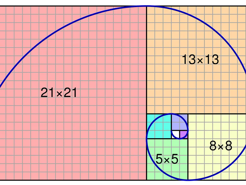 Nature and Fibonacci Sequence