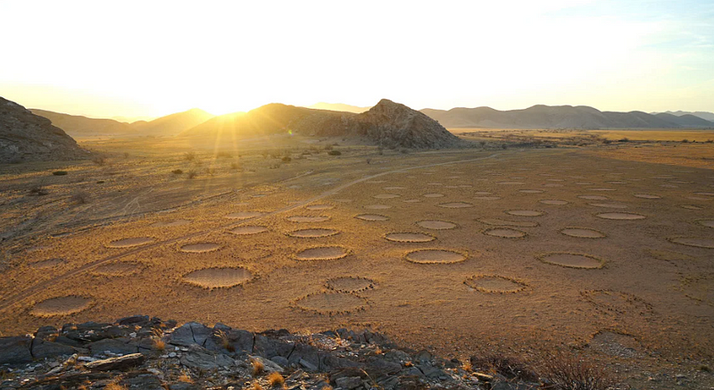 Aerial view of the Namibian fairy circles in the desert