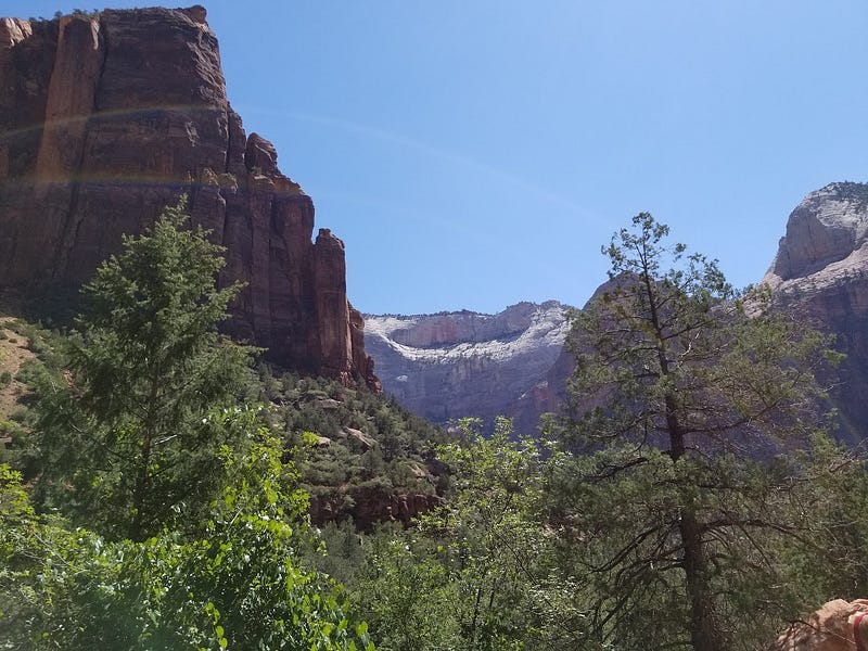 A beautiful view of Zion National Park