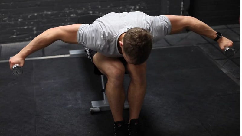 Seated Dumbbell Rear Delt Fly Exercise Demonstration