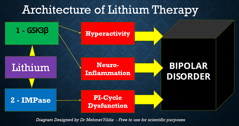 Mechanisms of Lithium Action