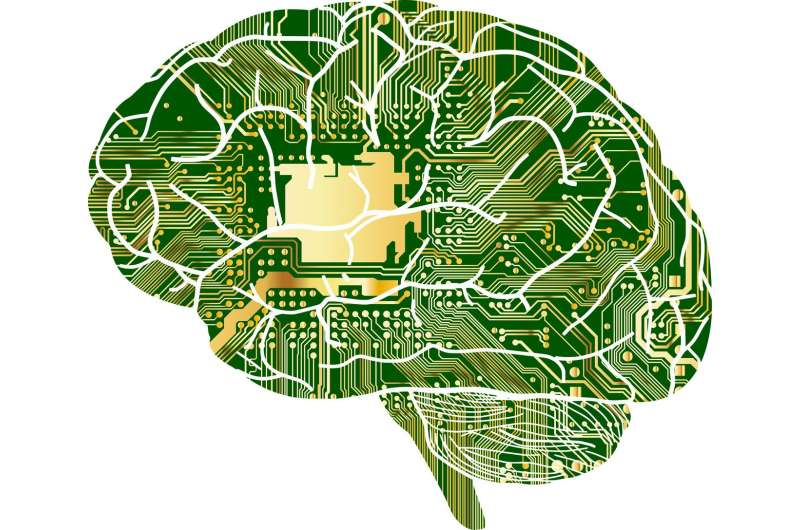 Brain Quantum Computing Exploration