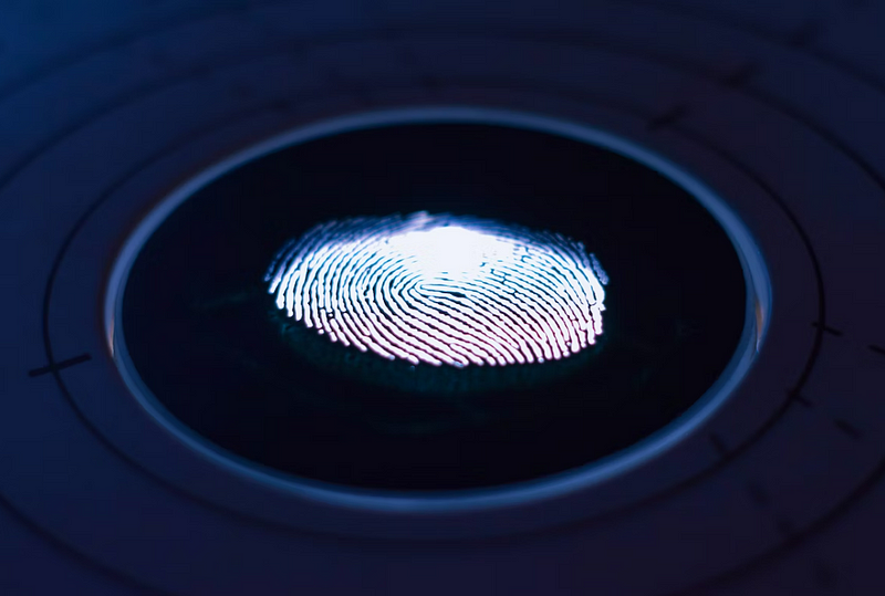 Fingerprints as a unique identifier