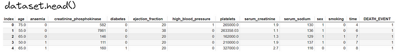 Data preview from the heart patient dataset