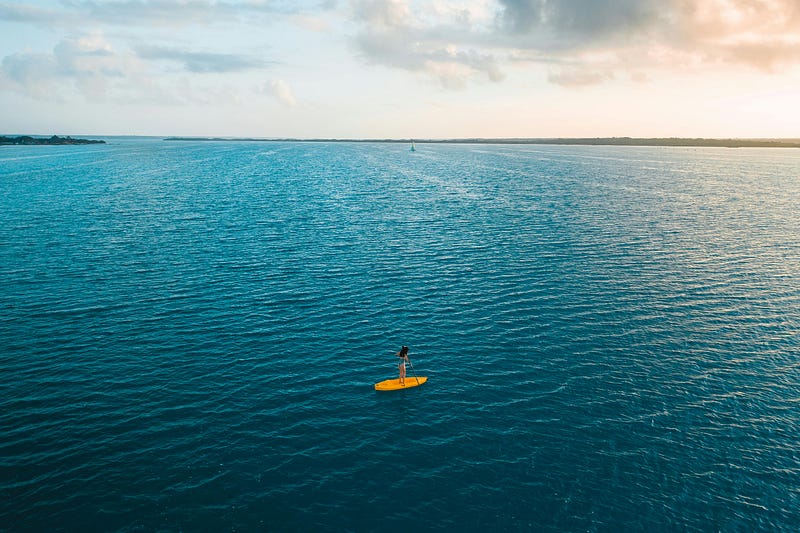 Silver accumulation in ocean ecosystems